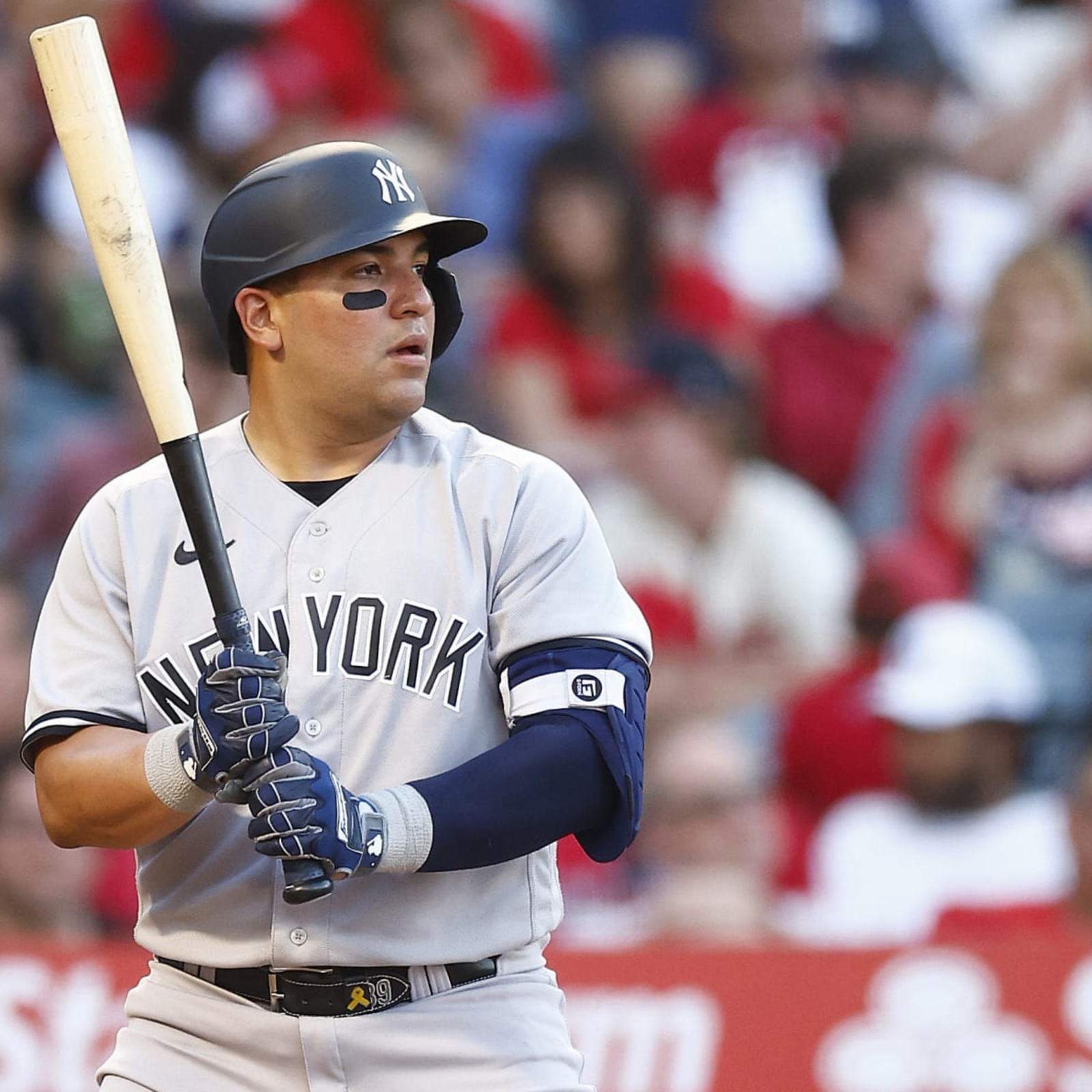 Jose Trevino injury update: Yankees C set to undergo season-ending wrist  surgery - DraftKings Network