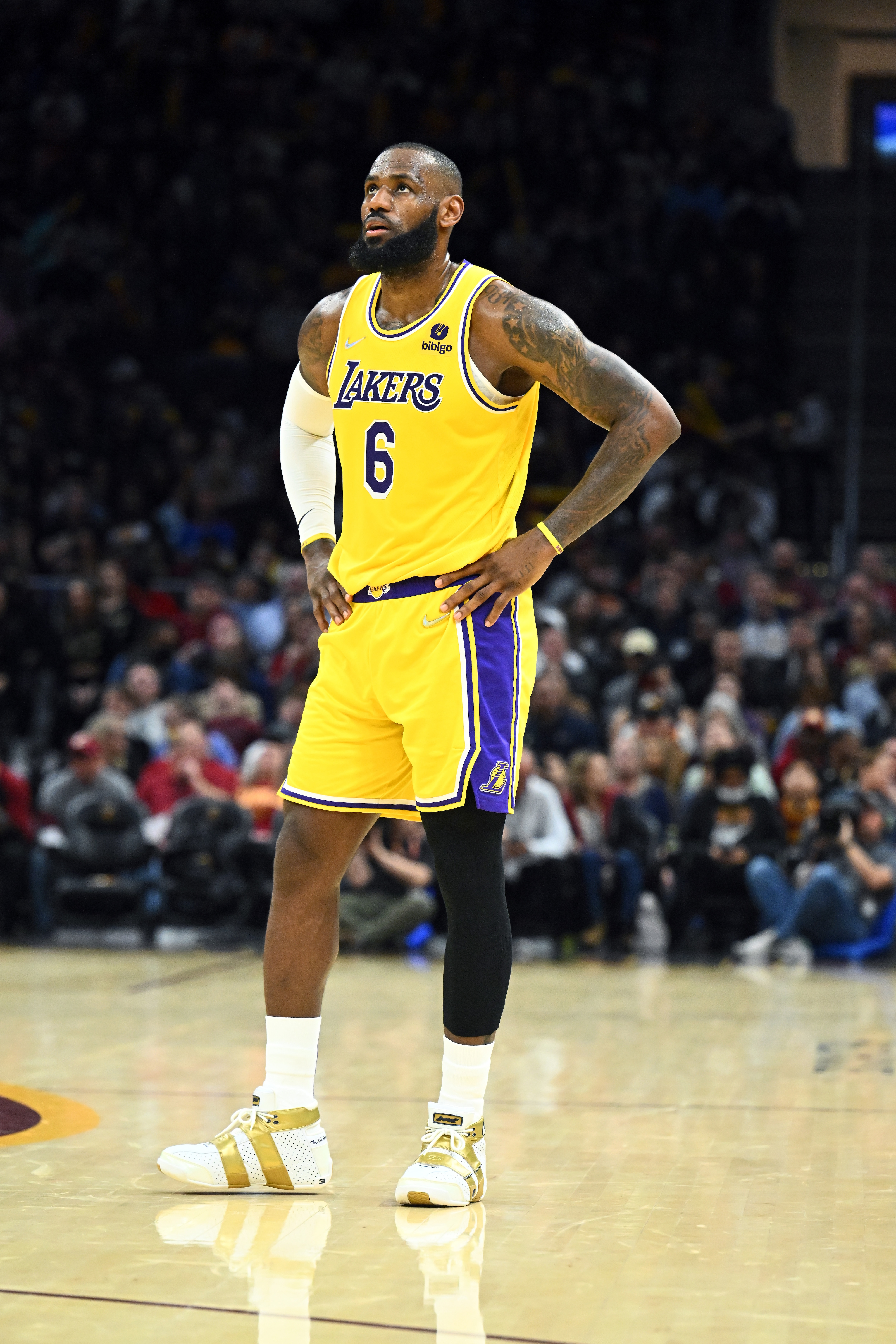 LeBron James Out for Lakers vs. Mavericks with Ankle Injury Suffered vs. Pelican..