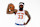TARRYTOWN, NY - NOVEMBER 16: Mitchell Robinson #23 of the New York Knicks poses for a portrait during at The New York Knicks Training Center on November 16, 2024 in Tarrytown, New York. NOTE TO USER: User expressly acknowledges and agrees that, by downloading and/or using this photograph, user is consenting to the terms and conditions of the Getty Images License Agreement. Mandatory Copyright Notice: Copyright 2024 NBAE (Photo by Nathaniel S. Butler/NBAE via Getty Images)