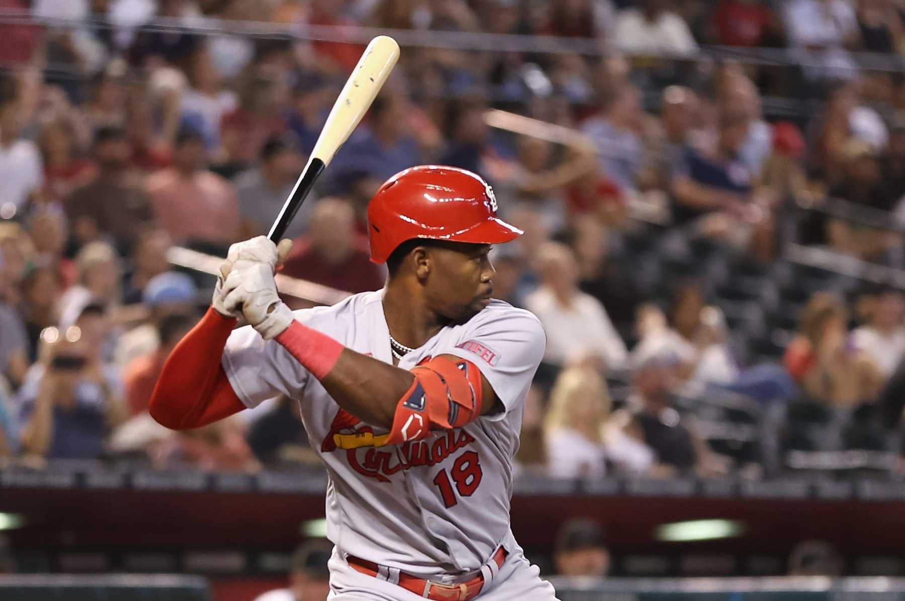 St. Louis Cardinals on X: Riding the wave 