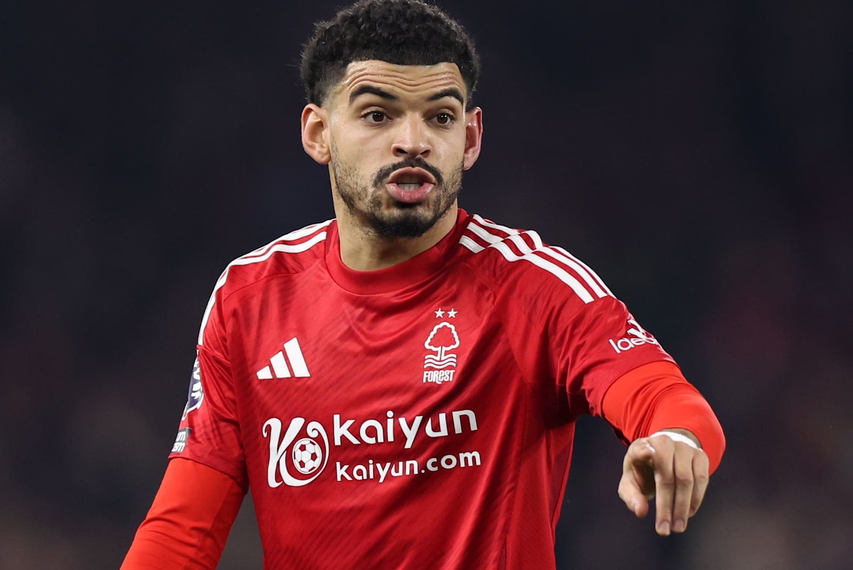 Morgan Gibbs White