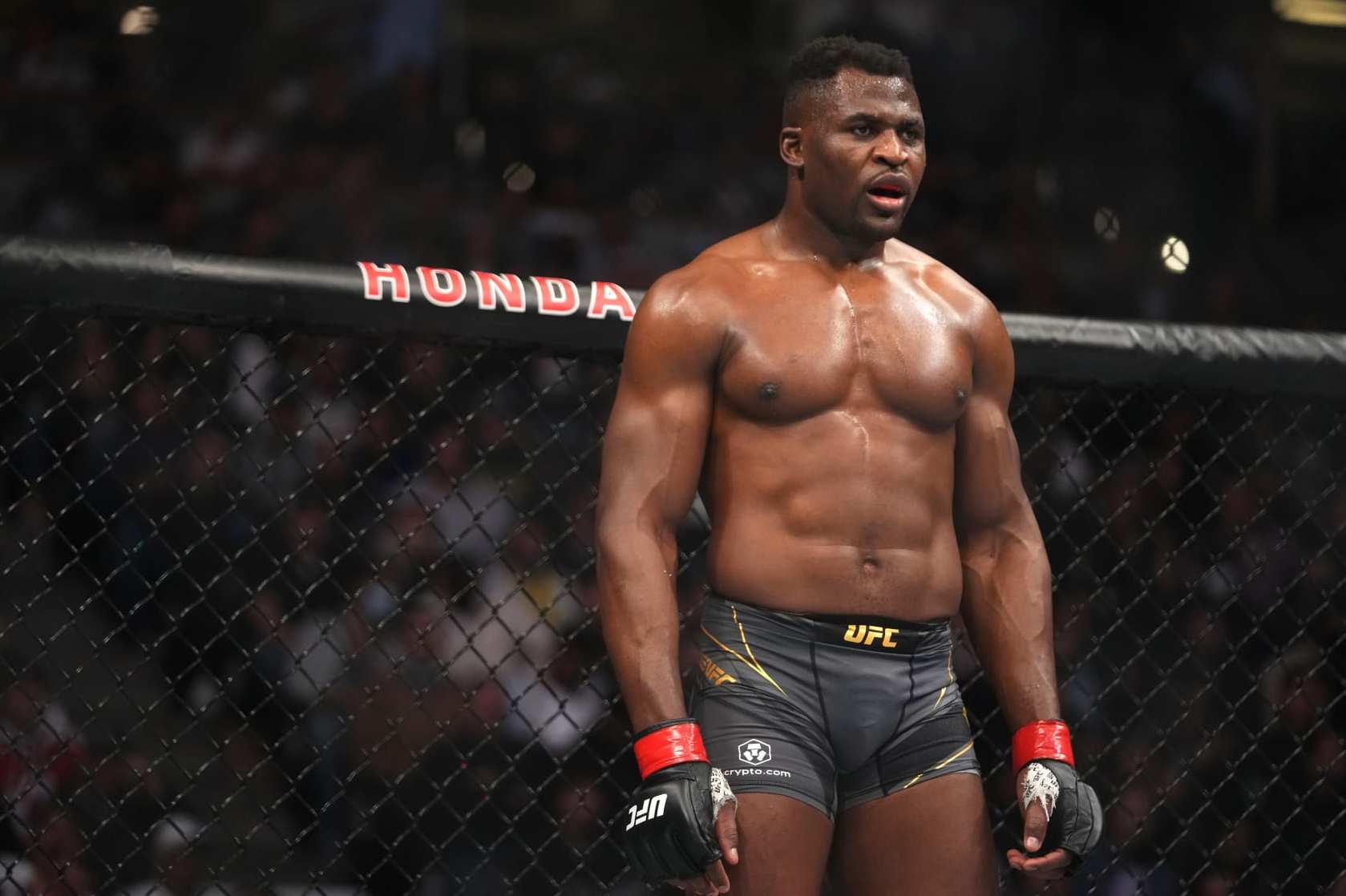 ANAHEIM, CALIFORNIA - JANUARY 22: Francis Ngannou of Cameroon battles Ciryl Gane of France during the UFC 270 event at Honda Center on January 22, 2022 in Anaheim, California. (Photo by Cooper Neill/Zuffa LLC)