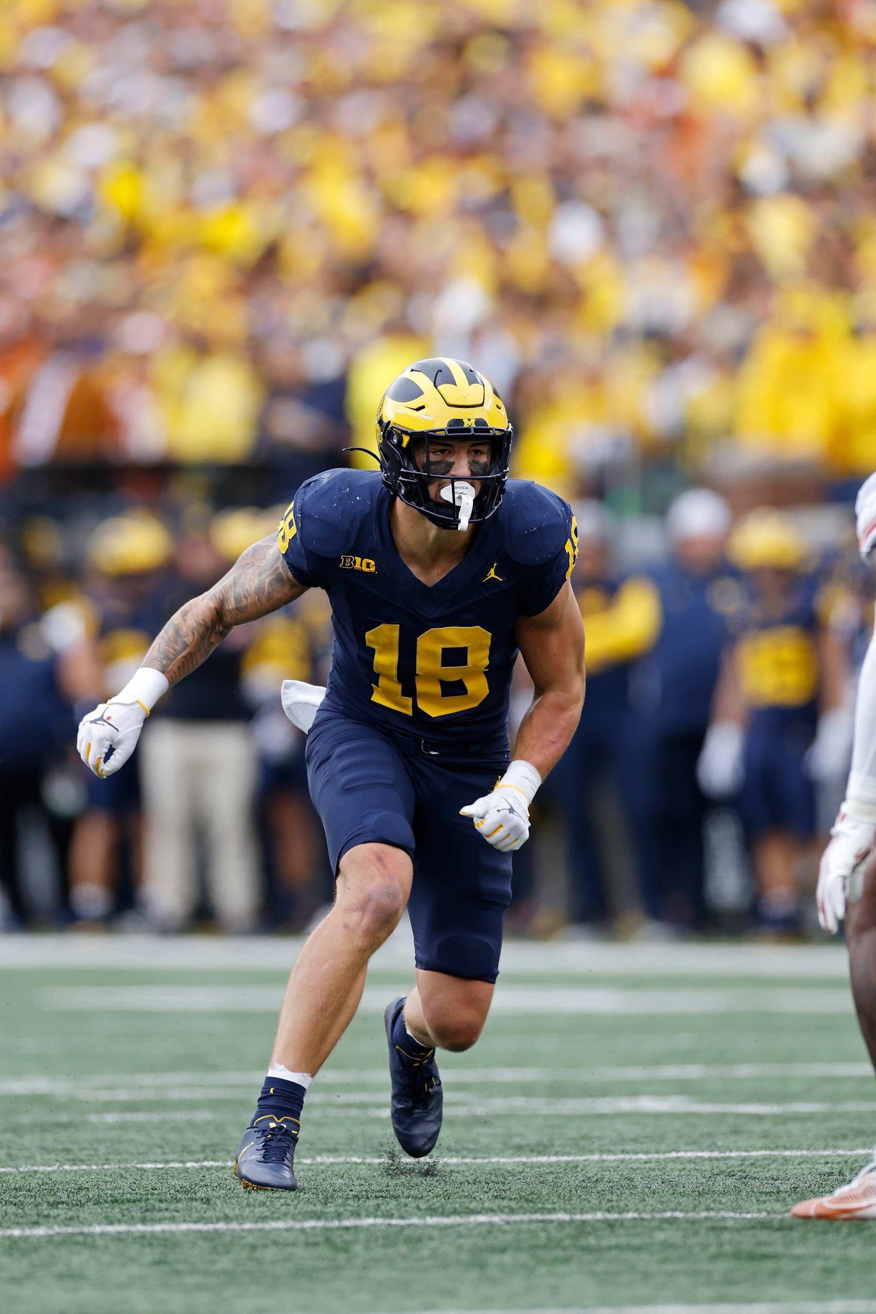 Colston Loveland NFL Draft 2025: Scouting Report for Michigan TE | News,  Scores, Highlights, Stats, and Rumors | Bleacher Report