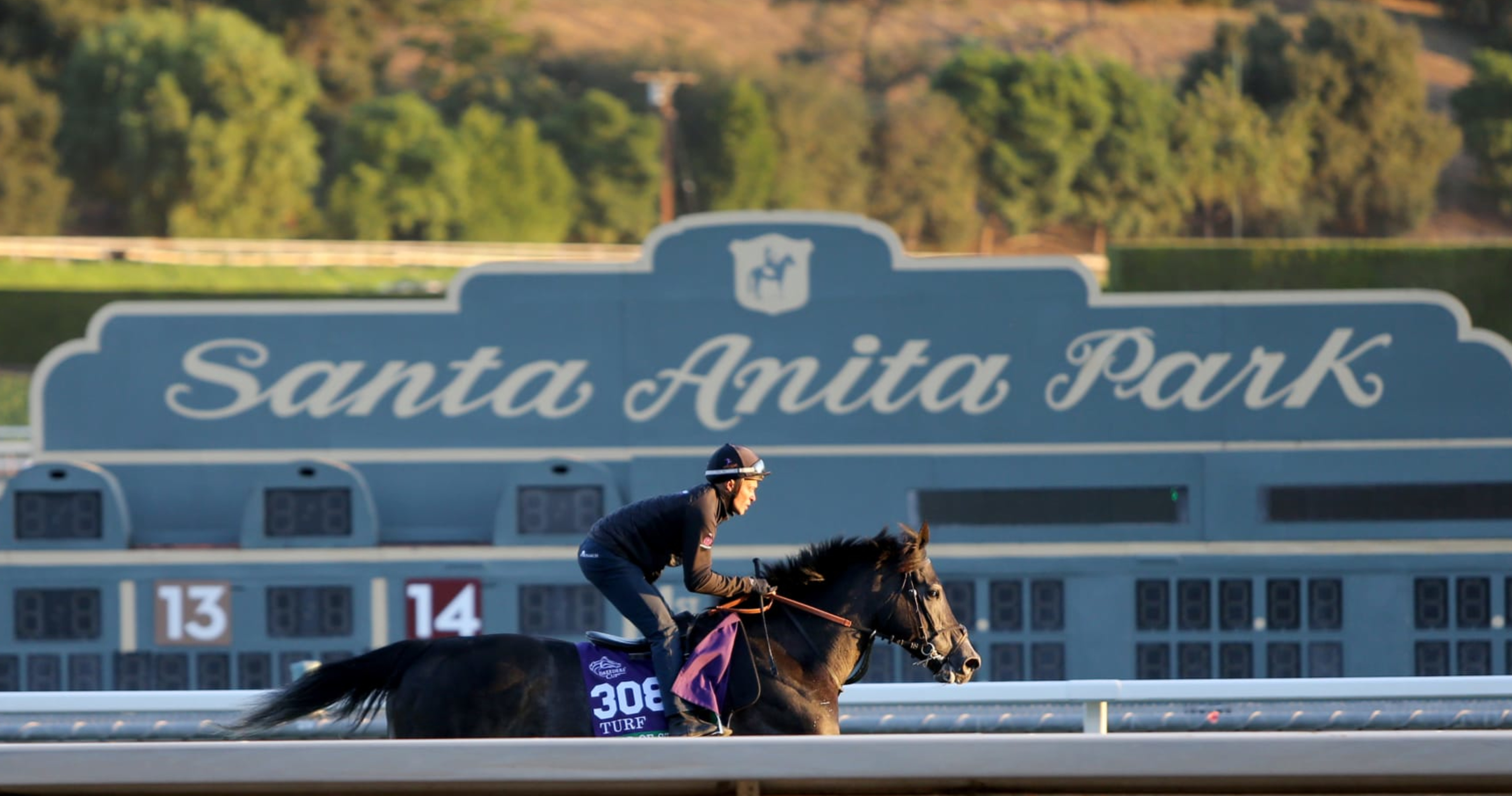 Breeders' Cup 2023 Results Tracking Winners, Prize Money Payouts on