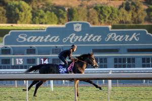 Breeders' Cup 2023 Results: Tracking Winners, Prize Money Payouts on Friday
