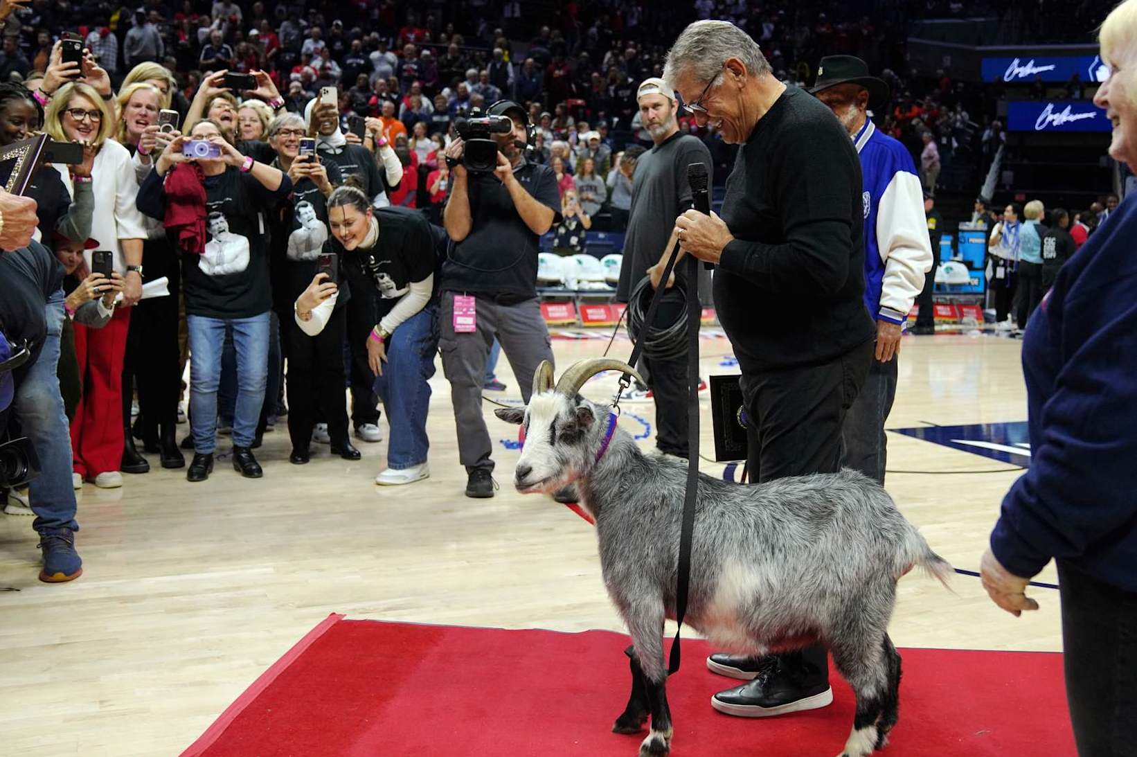 STORRS, CONNECTICUT - NOVEMBER 20: Connecticut Huskies head coach Geno Auriemma is presented with a goat after becoming the NCAA all-time basketball wins leader at the Harry A. Gampel Pavilion on November 20, 2024 in Storrs, Connecticut. (Photo by Joe Buglewicz/Getty Images)