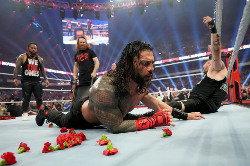 Wwe roman reigns fight cheap