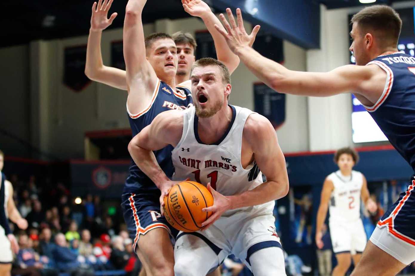 Saint Mary's Mitchell Saxen