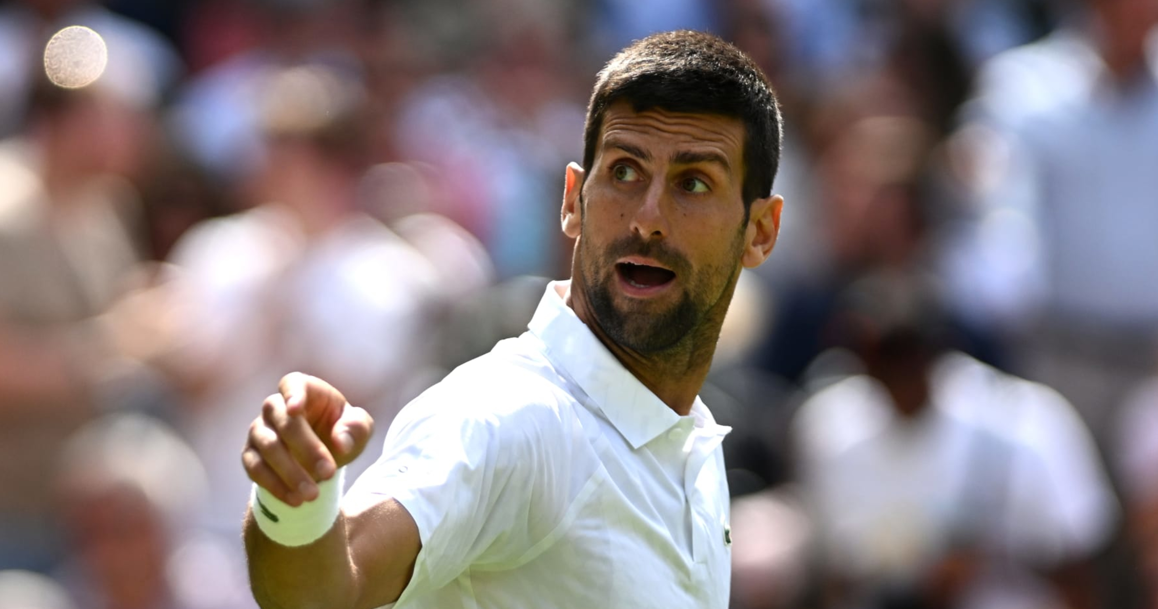Novak Djokovics Wimbledon Dominance Applauded by Fans After Win vs
