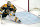 Boston Bruins goaltender Linus Ullmark seems support on the puck on a plan by Florida Panthers center Sam Bennett (9) all the procedure thru the 2nd length of Sport 5 within the first spherical of the NHL hockey playoffs, Wednesday, April 26, 2023, in Boston. (AP Describe/Charles Krupa)