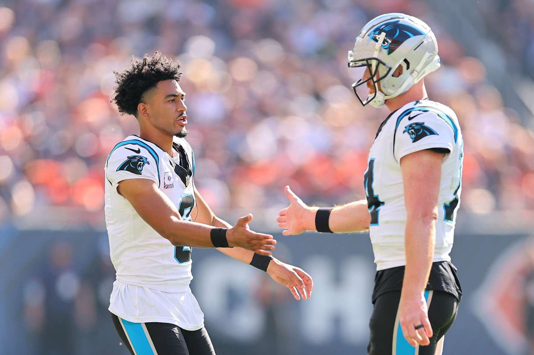 CHICAGO, ILLINOIS - OCTOBER 06: Bryce Young #9 of the Carolina Panthers high fives Andy Dalton #14 against the Chicago Bears at Soldier Field on October 06, 2024 in Chicago, Illinois. (Photo by Michael Reaves/Getty Images)