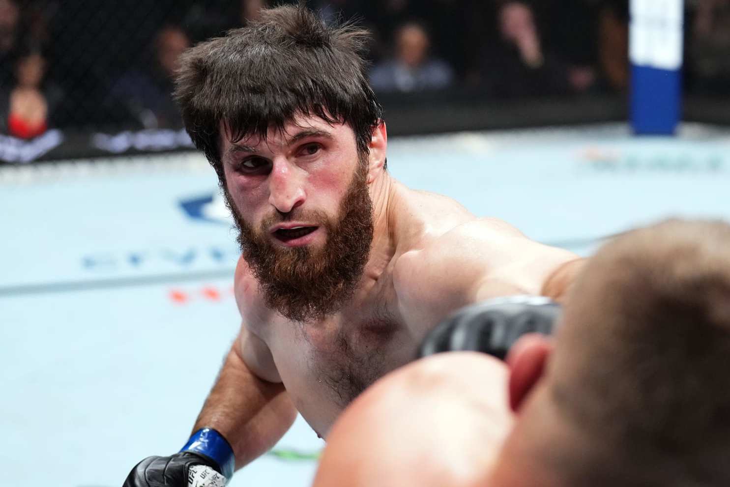 Magomed Ankalaev