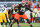 CLEVELAND, OHIO - NOVEMBER 19: Dawand Jones #79 of the Cleveland Browns in action during the second half against the Pittsburgh Steelers at Cleveland Browns Stadium on November 19, 2023 in Cleveland, Ohio. (Photo by Nick Cammett/Diamond Images via Getty Images)