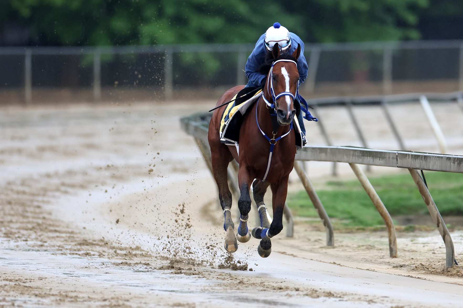 Belmont Stakes 2024 Post Positions: Complete Listing for Every Horse