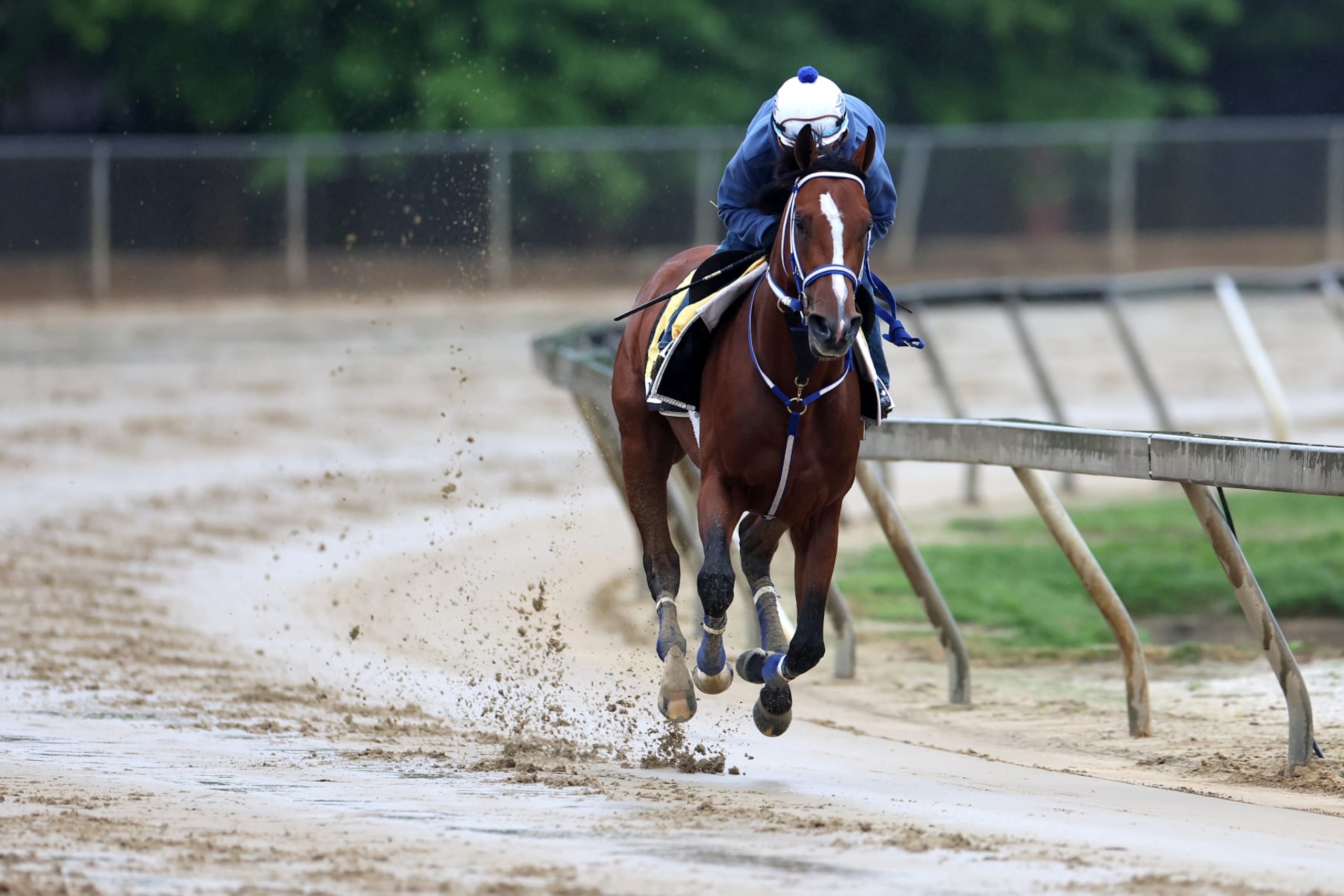 BALTIMORE, MARYLAND - MAY 15: Exercise rider 
Robby Albarado takes Kentucky Derby winner Mystik Dan over the track during a training session ahead of the 149th running of the Preakness Stakes at Pimlico Race Course on May 15, 2024 in Baltimore, Maryland. (Photo by Rob Carr/Getty Images)