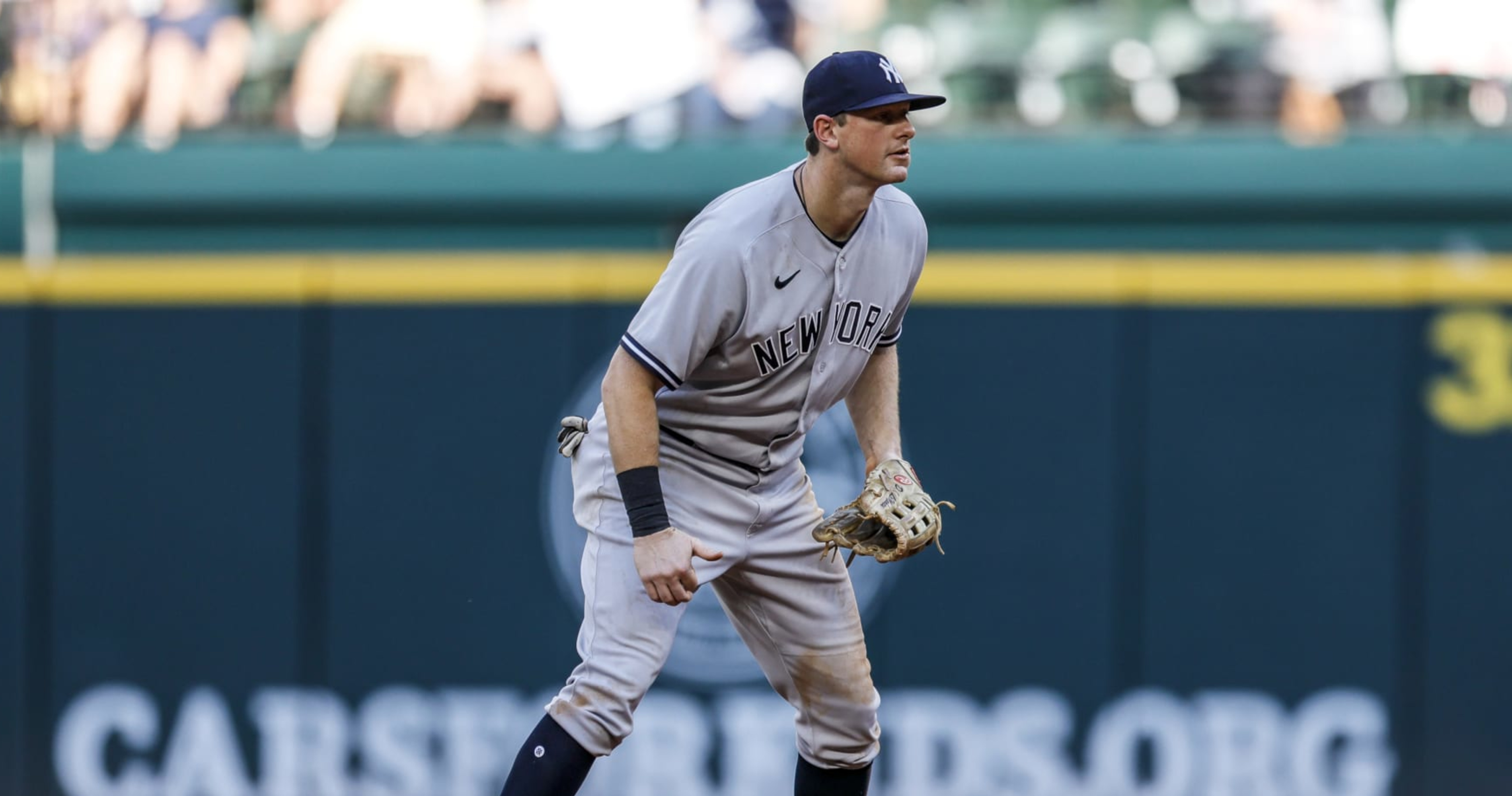 New York Yankees fans thrilled with report DJ LeMahieu will be