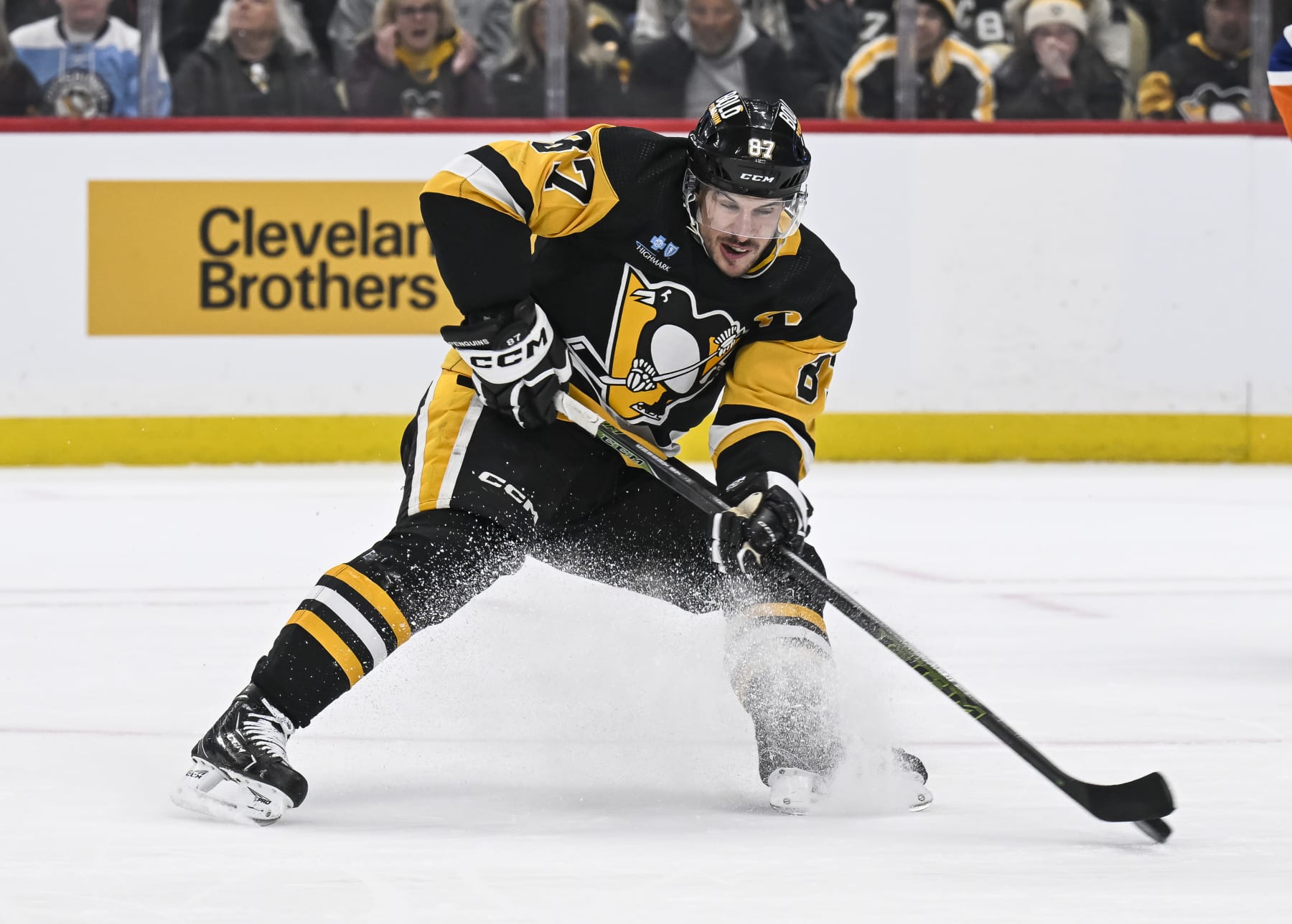1 Dream and 4 Nightmare Landing Spots for Penguins Captain Sidney