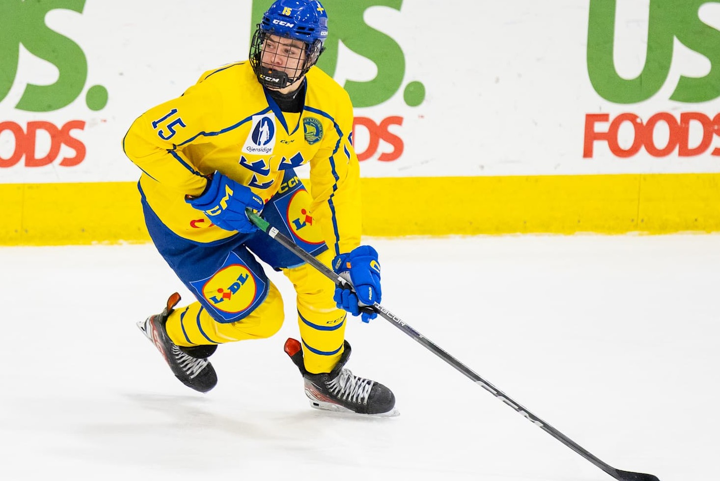 PLYMOUTH, MI - FEBRUARY 7: Anton Frondell #15 of Team Sweden skates with the puck during U18 Five Nations Tournament between Team Czechia and Team Sweden at USA Hockey Arena on February 7, 2024 in Plymouth, Michigan. (Photo by Michael Miller/ISI Photos/Getty Images)