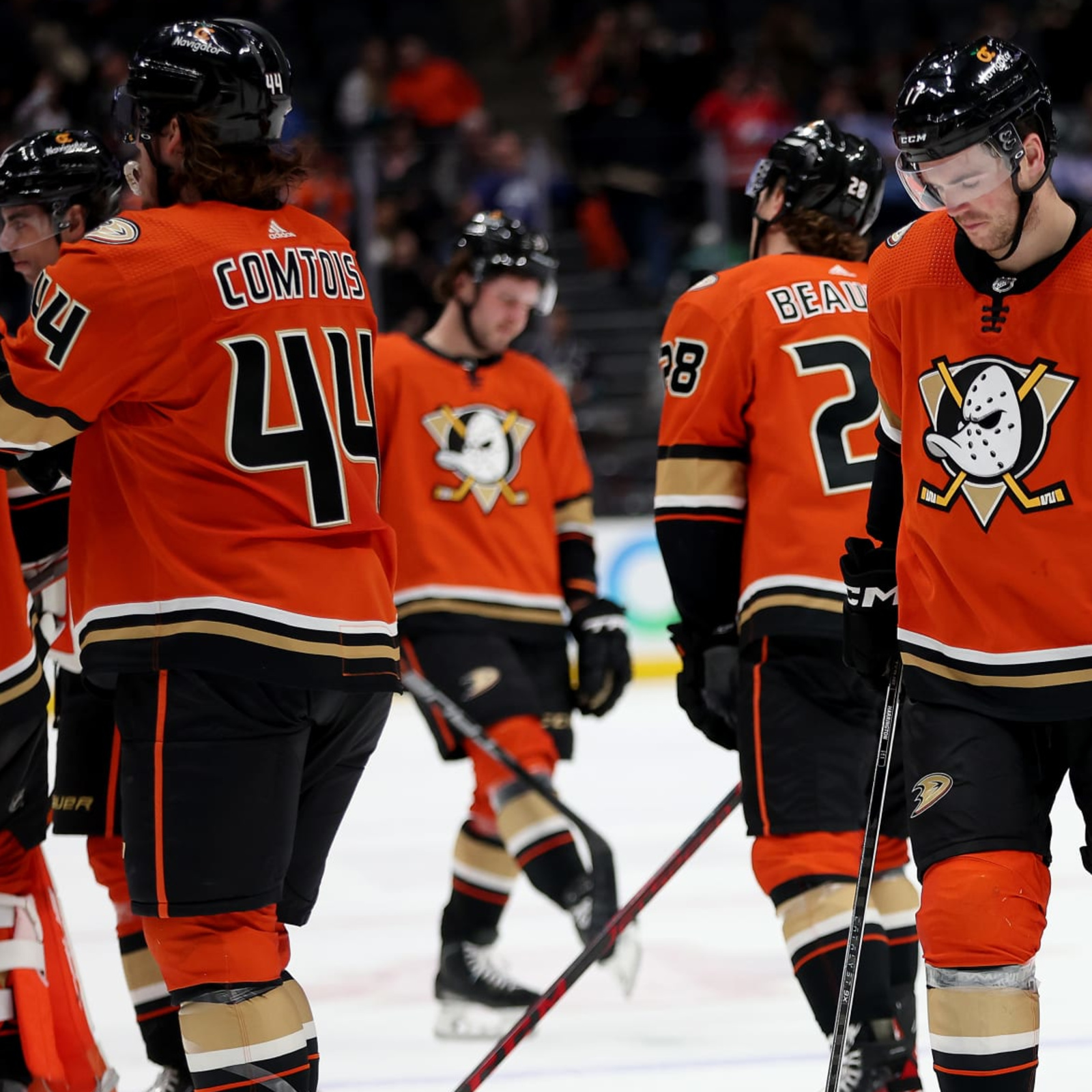 Mighty Ducks of Anaheim - The Hockey Chronicle