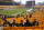 Fans watch warm ups at Heinz Field before an NFL football game between the Pittsburgh Steelers and the Las Vegas Raiders, Sunday, Sept. 19, 2020, in Pittsburgh. (AP Photo/Keith Srakocic)