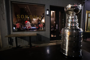 Ranking the Top 12 NHL Contenders for the 2025 Stanley Cup