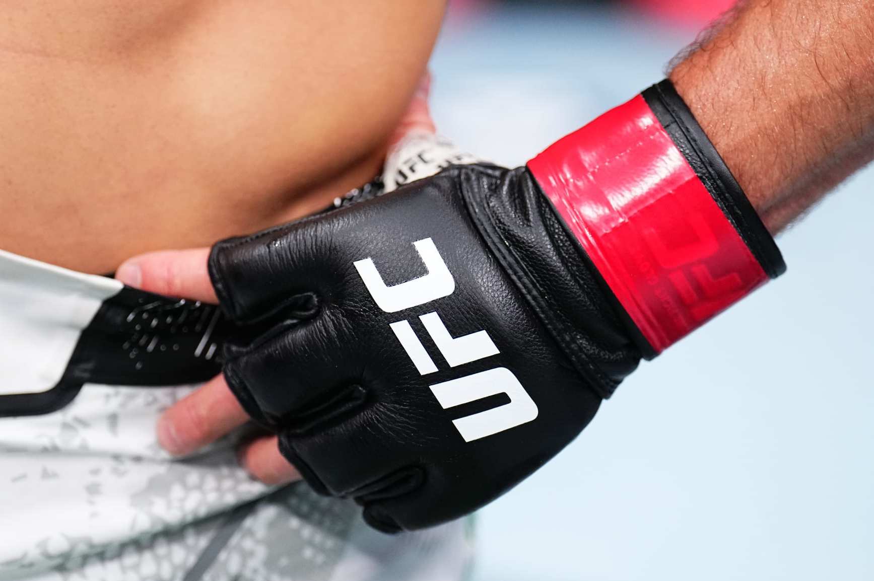 Buy ufc gloves online