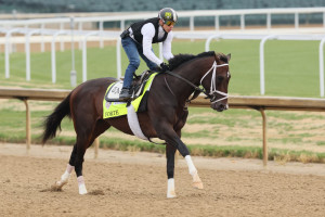 Kentucky Derby 2023 Post Positions: Complete Listing for Every Horse