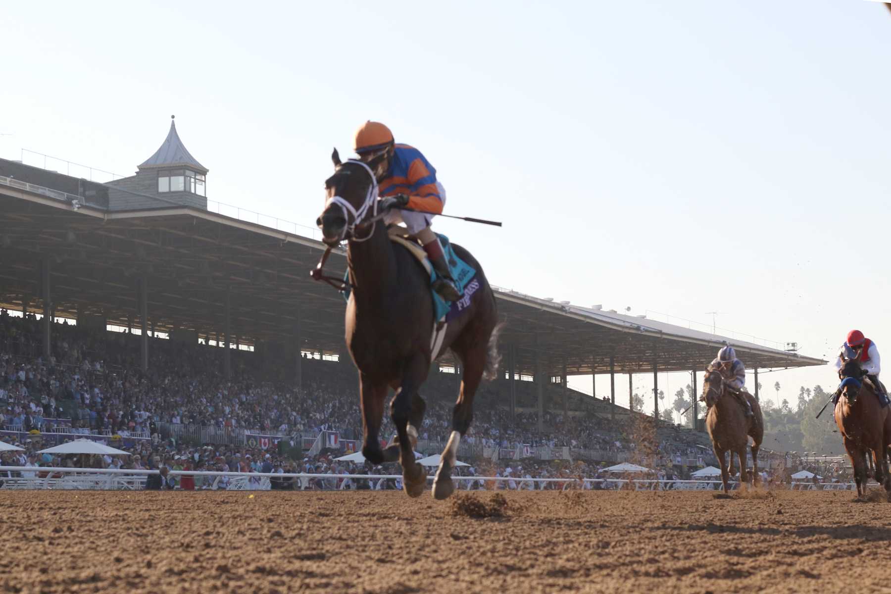 Fierceness and jockey John Velazquez riding wins at the 2023 Breeders' Cup Juvenile