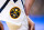 CHARLOTTE, NORTH CAROLINA - MARCH 05: The Denver Nuggets logo on the shorts of Nikola Jokic #15 of the Denver Nuggets during the fourth quarter during their game against the Charlotte Hornets at Spectrum Center on March 05, 2020 in Charlotte, North Carolina. NOTE TO USER: User expressly acknowledges and agrees that, by downloading and/or using this photograph, user is consenting to the terms and conditions of the Getty Images License Agreement. (Photo by Jacob Kupferman/Getty Images)