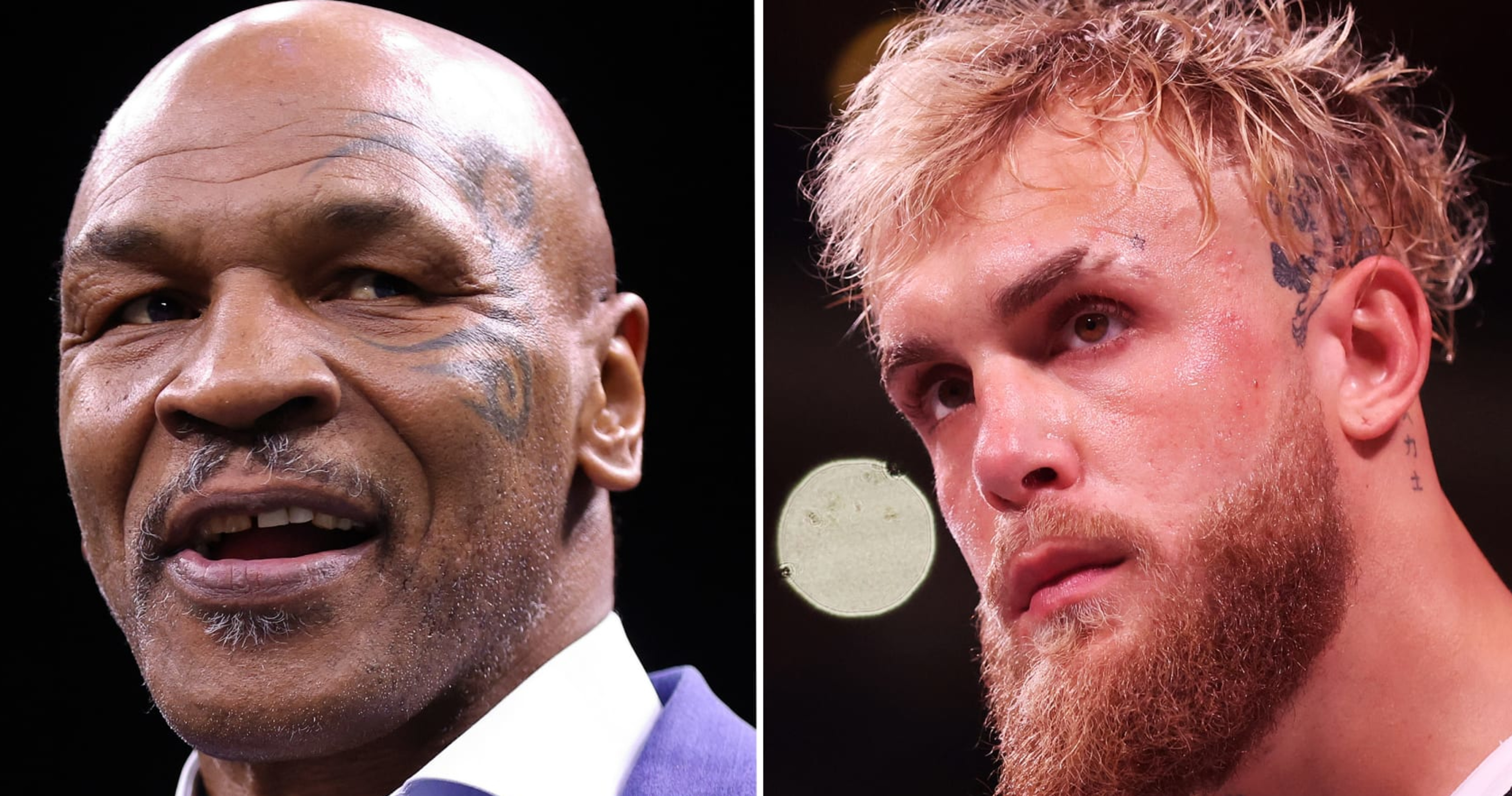 Tyson paul official fight rules