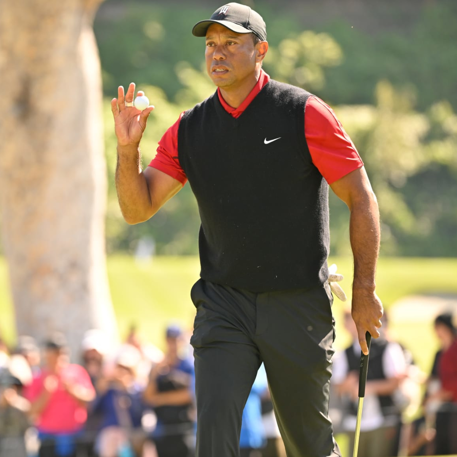 Tiger Woods desigining golf course for Major League Baseball star