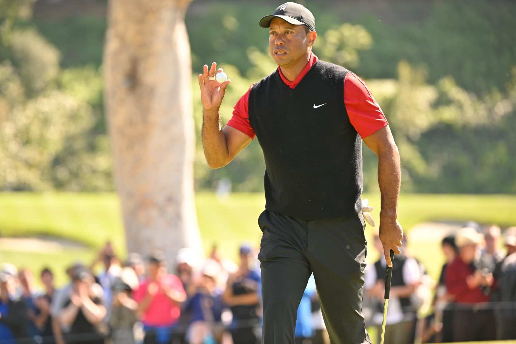 Tiger Teaming with MLB Star to Build New Jersey Golf Course