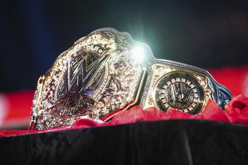 Wwe title watch cheap