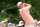 DUBLIN, OHIO - JUNE 06: Scottie Scheffler of the United States plays his shot from the 15th tee during the first round of the Memorial Tournament presented by Workday at Muirfield Village Golf Club on June 06, 2024 in Dublin, Ohio. (Photo by Michael Reaves/Getty Images)