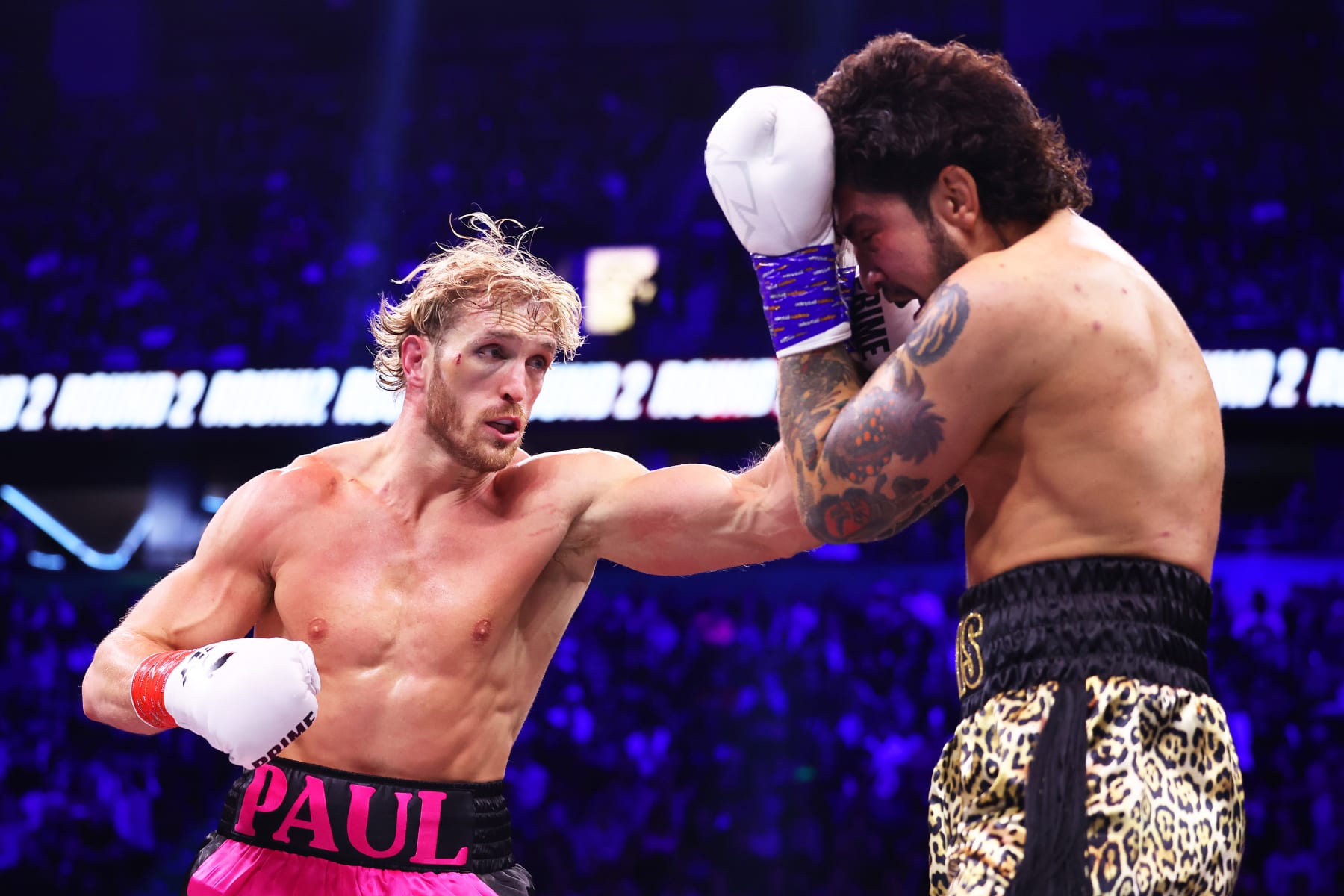 Dillon Danis Says He Earned over 1M for Fighting WWE's Logan Paul in