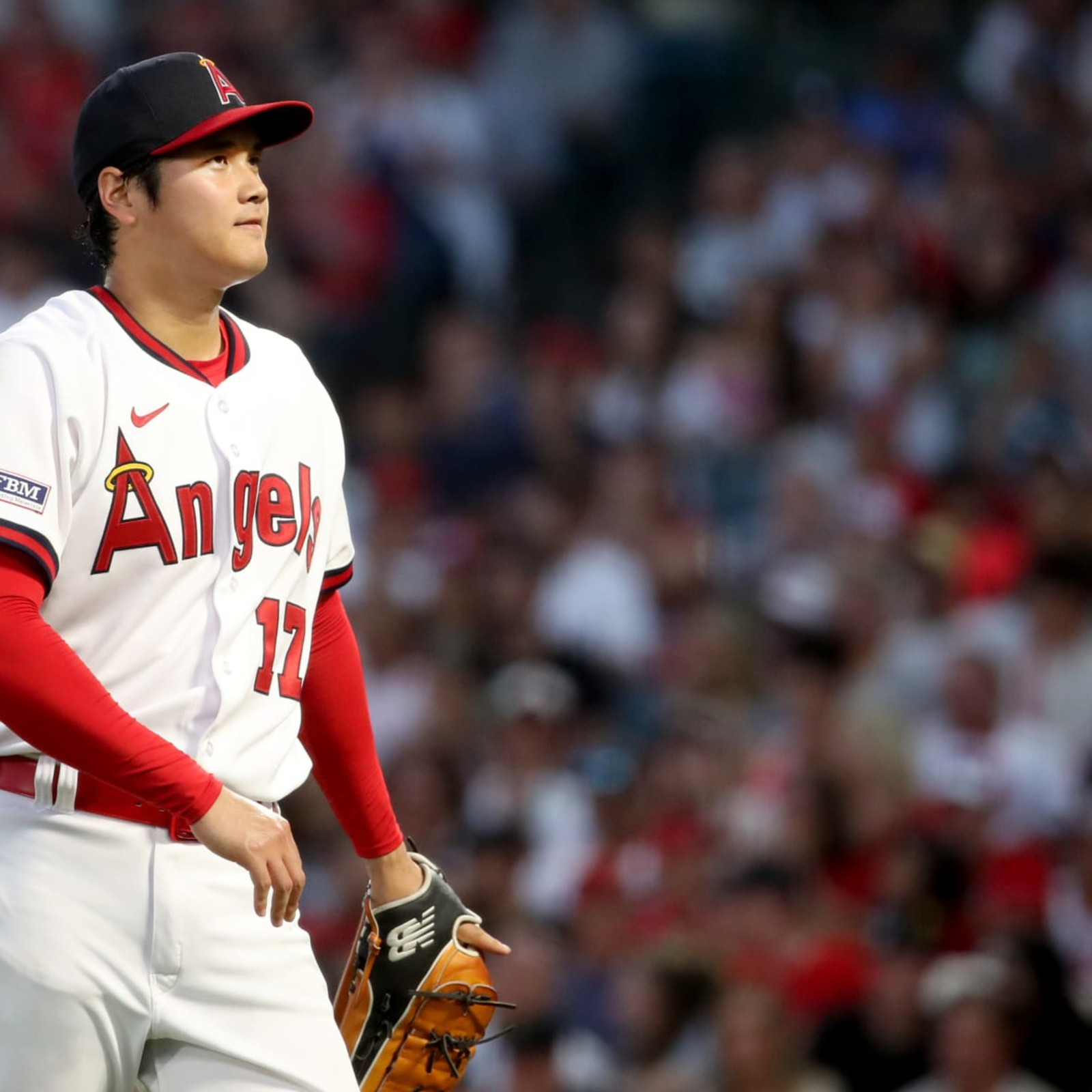 MLB Trade Rumors on X: Angels Will Reportedly Consider Shohei Ohtani Trade  Offers; Deal Seen As Unlikely    / X