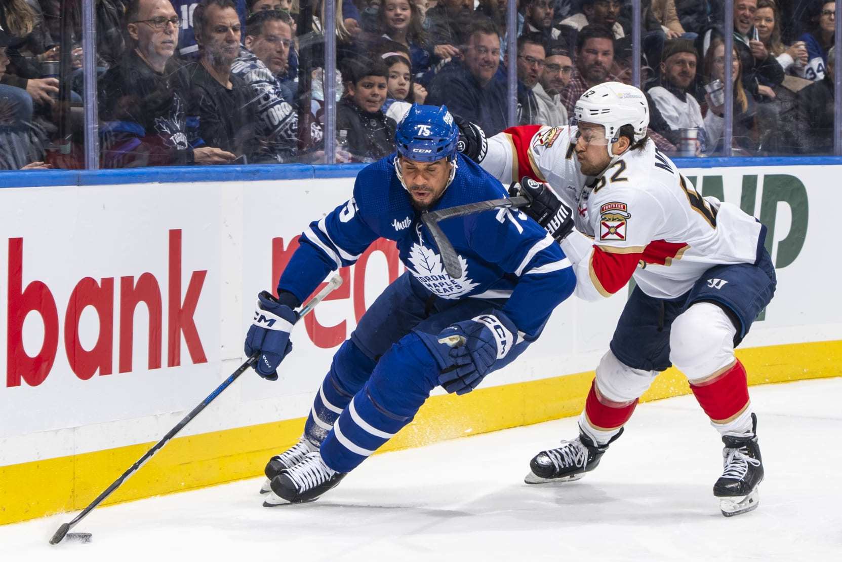 TORONTO, ON - APRIL 1: Ryan Reaves #75 of the Toronto Maple Leafs and Brandon Montour #62 of the Florida Panthers battle for the puck during the second period at Scotiabank Arena on April 1, 2024 in Toronto, Ontario, Canada. (Photo by Mark Blinch/NHLI via Getty Images)