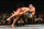 Wrestling will always be important in MMA