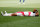 HARRISON, NJ - APRIL 28: Thierry Henry #14 of the New York Red Bulls lays on the ground in pain after injuring his leg against the New England Revolution during the game at Red Bull Arena on April 28, 2012 in Harrison, New Jersey. (Photo by Andy Marlin/Getty Images)