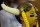 ATLANTA, GA - NOVEMBER 27:  A Minnesota Vikings fan looks on during the game against the Atlanta Falcons at Georgia Dome on November 27, 2011 in Atlanta, Georgia.  (Photo by Kevin C. Cox/Getty Images)