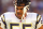 Junior Seau played 20 seasons in the NFL. Perhaps he shouldn't have.