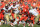 CLEMSON, SC - SEPTEMBER 24:  Tajh Boyd #10 of the Clemson Tigers runs with the ball against the Florida State Seminoles during their game at Memorial Stadium on September 24, 2011 in Clemson, South Carolina.  (Photo by Streeter Lecka/Getty Images)