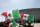 ARLINGTON, TX - JUNE 03: Mexico fan wave their flags before a soccer game against Brazil at Cowboys Stadium on June 3, 2012 in Arlington, Texas. Mexico won 2-0. (Photo by Brandon Wade/Getty Images)