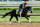 LOUISVILLE, KY - MAY 02: Black Onyx runs on the track during the morning training for the 2013 Kentucky Derby at Churchill Downs on May 2, 2013 in Louisville, Kentucky.  (Photo by Andy Lyons/Getty Images)