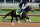 Charming Kitten could rise from the field and take home the 2013 Kentucky Derby.