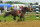 May 18, 2013; Baltimore, MA, USA; Joel Rosario aboard Orb (1) trails behind down the final stretch during the 138th running of the Preakness Stakes at Pimlico race course. Orb finished 4th.  Mandatory Credit: James Lang-USA TODAY Sports