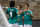 Chicharito celebrates during a recent draw with Nigeria