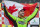 SAO PAULO, BRAZIL - MAY 5:  James Hinchcliffe of Canada driver of the #27 Andretti Autosport Dallara Chevrolet celebrates after winning the IndyCar Series Sao Paulo indy 300 on May 5, 2013 in the streets of Sao Paulo in Sao Paulo, Brazil.  (Photo by Robert Laberge/Getty Images)