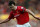 Former Manchester United midfielder Bryan Robson (Photo courtesy of manchestereveningnews.co.uk)