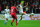 SWANSEA, WALES - SEPTEMBER 16:  Swansea player Jonjo Selvey beats Daniel Sturridge to the ball during the Barclays Premier League match between Swansea City and Liverpool at Liberty Stadium on September 16, 2013 in Swansea, Wales.  (Photo by Stu Forster/Getty Images)